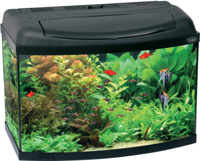 AQUAEL Pearl Аквариум с крышкой и лампой 30 л